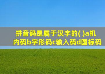 拼音码是属于汉字的( )a机内码b字形码c输入码d国标码